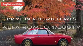 Drive in Autumn Leaves (English sub.) Alfa Romeo 1750GTV | A Day with my Giulia and autumn leaves