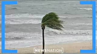 Floridians prepare as Hurricane Idalia makes way to coast | NewsNation Now