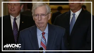 Senate GOP leader Mitch McConnell appears to freeze up again