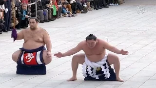 Борцы сумо исполнили ритуальный танец в Новом году (новости)