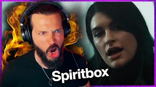 Spiritbox Rotoscope Kind Of Sounds Like Garbage?