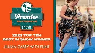 Meet 2022 Premier Top Ten Best in Show Winner Jillian Casey, with Flint