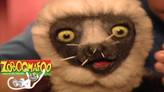 Zoboomafoo 118 - Feeling Good | HD | Full Episode