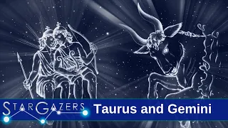 Taurus and Gemini | February 19 - 25 | Star Gazers