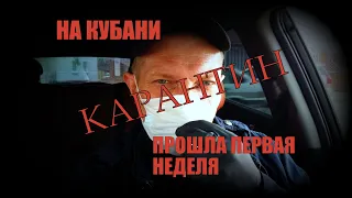 Карантин на Кубани. Прошла неделя. Всем здоровья!