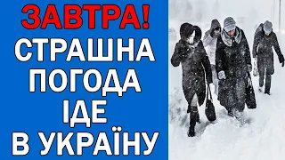 ПОГОДА НА ЗАВТРА : ПОГОДА 30 ГРУДНЯ