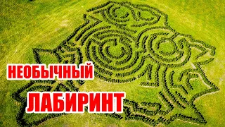 Необычный Лабиринт в Центре Минска