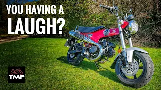 Reviving a Classic: 2023 Honda ST125 Dax Review - First Ride on a minibike!
