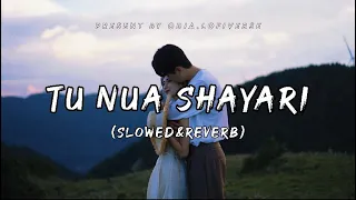 Tu Nua Shayari ( slowed&reverb ) | Swayam Padhi & Sohini Mishra | Odia Lofi song | Odia.lofiverse
