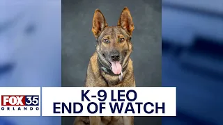 Florida K-9 deputy dies days after being shot by suspect