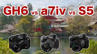 Panasonic lumix GH6 vs S5 vs Sony a7iv 動画性能徹底比較
