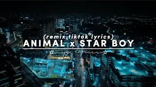 Animals x Starboy |Slowed & Reverb| lyrics
