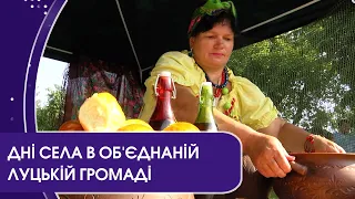 У селах біля Луцька відгуляли День села