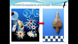 Ancient Ecosystems and Arrows