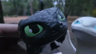 Toothless Never Gets What He Wants