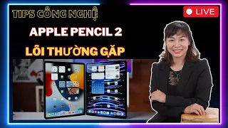 Apple Pencil Có Lỗi Thực Sự? Tấn Đào Mobile Mở Ra Bí Mật!