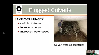 Beaver Water Management Devices Culvert Protection With Wildlife Control Consultant S. Vantassel