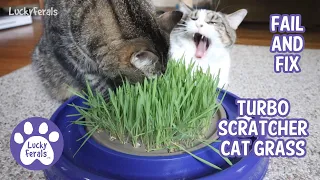 Turbo Scratcher Cat Grass * S4 E12 * Review, Fail, and Fix