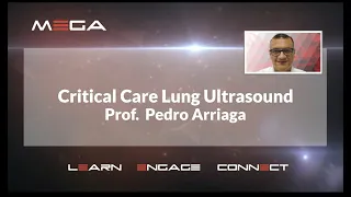 Critical Care Lung Ultrasound  Prof. Pedro Arriaga