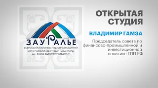 Интервью с Владимиром Гамзой