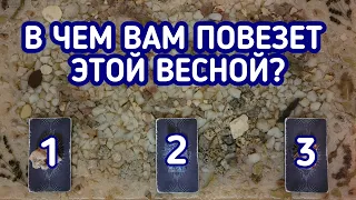 В чем Вам повезет этой весной? | 3 варианта | Гадание онлайн | Таро расклад | Таро терапия Души