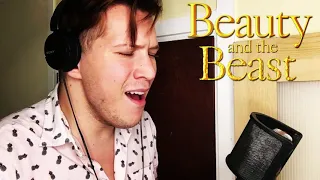 Evermore || Beauty And The Beast || Cover || Declan Alexander