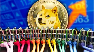 J'ai miné des Dogecoin sur 16 Raspberry Pi