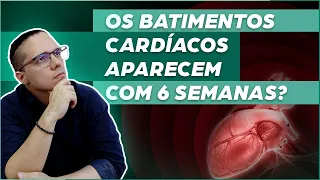 COM QUANTAS SEMANAS DE GRAVIDEZ JÁ DÁ PARA OUVIR OS BATIMENTOS CARDÍACOS DO BEBÊ PELO ULTRASSOM?