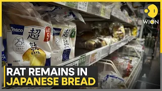 Japan: Rat remains found in Japanese bread, over 100,000 packets of bread recalled | WION