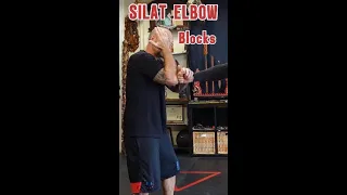 Silat - Elbow vs Straight Punch