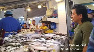 Morning Tour Market Dammam Saudi Arabia/Fish Market