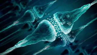 Neurología: Neuronas, Sinapsis y Neurotransmisores.