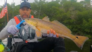 Live Shrimp Saved The Day - Kayak Fishing Tampa Bay