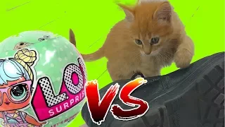 КУКЛЫ ЛОЛ VS ЖИВЫЕ ДРУЗЬЯ. Реакция котенка на шары LOL surprise