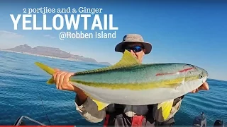 Yellowtail fishing in South Africa