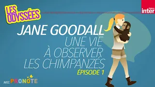 Jane Goodall, une vie à observer les chimpanzés, épisode 1 - Les Odyssées