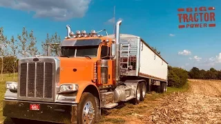 Peterbilt 389 Truck Moving the Corn Harvest 1,000 bu. at a Time