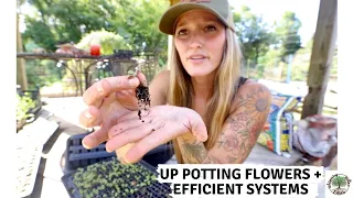 Up Potting Flowers +(EFFICIENT SYSTEMS) VLOG