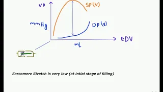 Frank Starlings Law of cardiac muscle