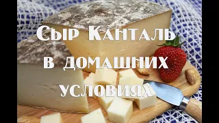 Легендарный французский сыр Канталь в домашних условиях