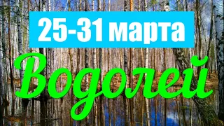 Неделя с 25 по 31 марта.ВОДОЛЕЙ ♒️