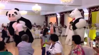 Панда Белый Мишка шоу диско медведей на свадьбе