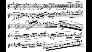 Bruch, Max mvt1+2(begin) 1st violin concerto