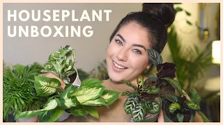 PLANT HAUL | HOUSE PLANT SHOP UNBOXING