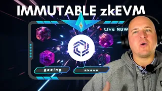 How Immutable is revolutionizing the gaming industry with zkEVM rollout | by Dads Gone Crypto
