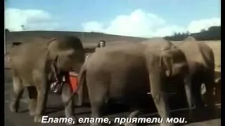 (Раджу ) Слона Моят Приятел -  Chal chal mere saathi