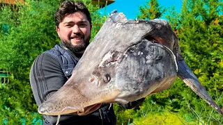 FISH SOUP from a huge fish head. Cooking Tasty Sturgeon Ukha soup recipe