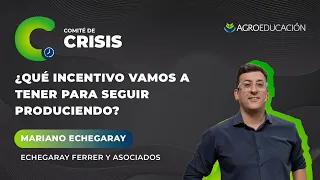 ¿Qué incentivo vamos a tener para seguir produciendo? - Mariano Echegaray