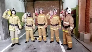 Грибы Тает-Лед пожарные