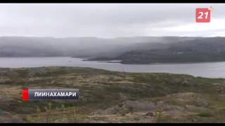 «Порт Лиинахамари» зарегистрирован как резидент Арктической зоны России
